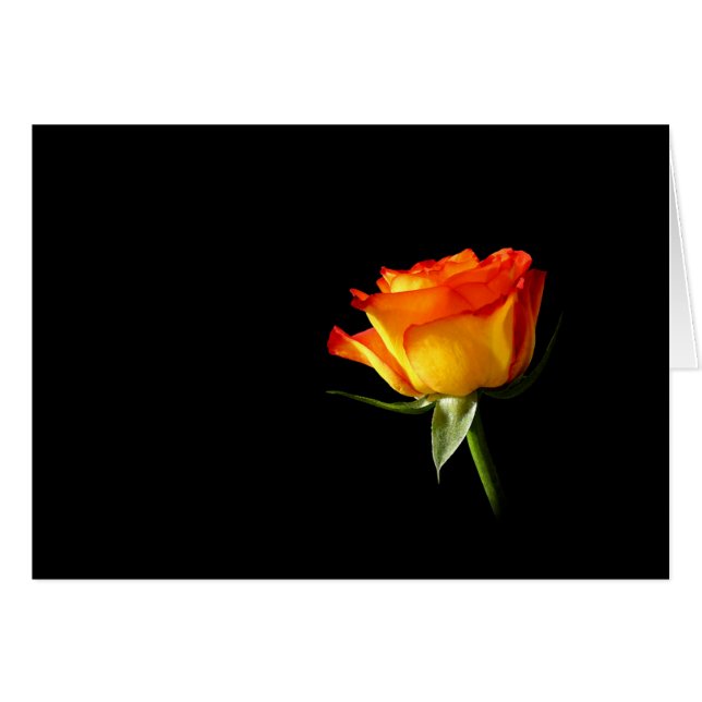 Roos (Voorkant Horizontaal)