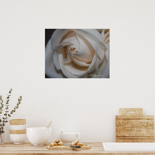 Roos 13 poster (Keuken)