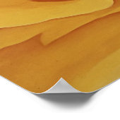 Roos #15 Poster (Hoek)