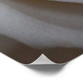 Roos 16 poster (Hoek)