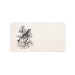 Roos 1800 Linnet Song Bird Finch Birds Etiket