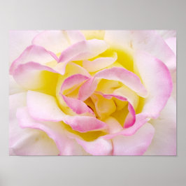 Roos afdrukken poster