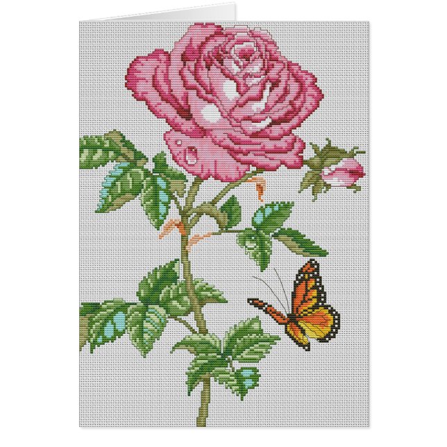 Roos Beauty (Voorkant)