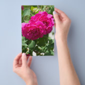 Roos bloem flyer (Hand)