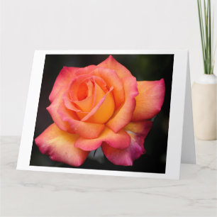 roos bloesems bloesems bloesems bloemblaadjes kaart
