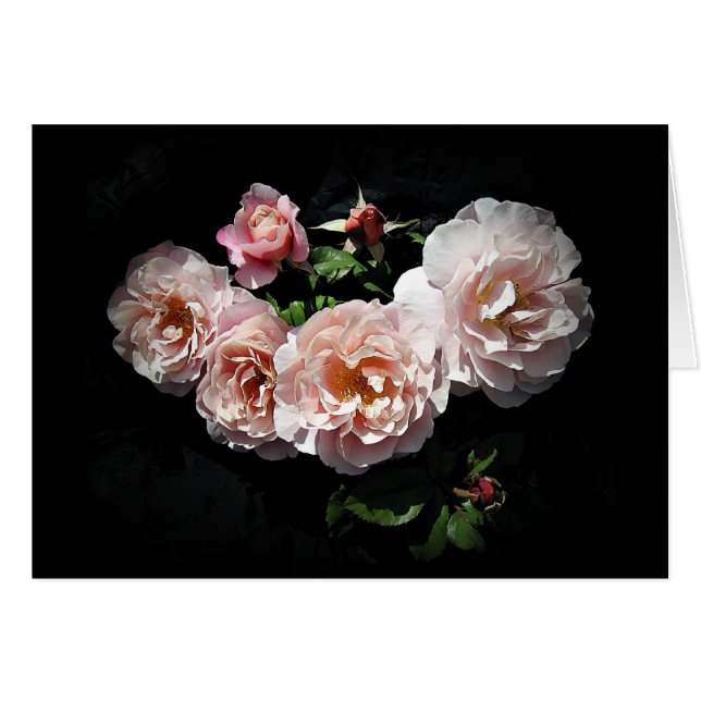 Roos Bloom glimlacht door Stan the Roseman (Voorkant Horizontaal)