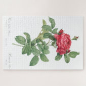 Roos Blooming Oude illustratie Legpuzzel (Horizontaal)