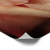 Roos Blooming Peach Poster (Hoek)