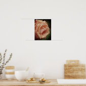 Roos Blooming Peach Poster (Keuken)