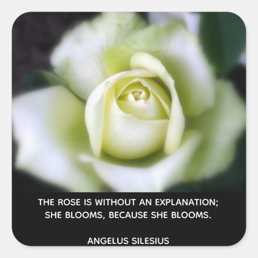 Roos Blooms Quote Vierkante Sticker (Voorkant)