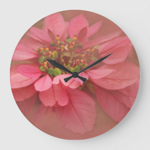 Roos Blush Poinsettias Digital Art Grote Klok