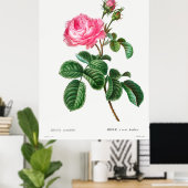 Roos Botanisch Poster (Thuiskantoor)