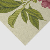 Roos - botanisch weefselpapier tissuepapier (Detail)