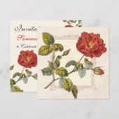  Roos Botanische Verjaardag Tuin Party Kaart (Voorkant / Achterkant)