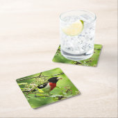 Roos-breasted Grosbeak Drink Onderzetter (Insitu)