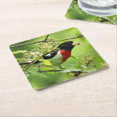 Roos-breasted Grosbeak Drink Onderzetter (Schuin)