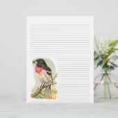  Roos Breasted Grosbeak Lined Letterhead (Staand voorkant)