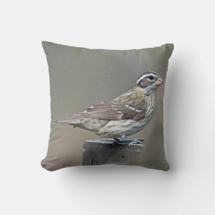 Roos-Breasted Vrouw van de Grosbeak Kussen