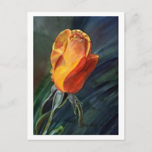 Roos Briefkaart (Voorkant)