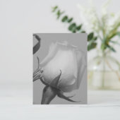  Roos Briefkaart (Staand voorkant)