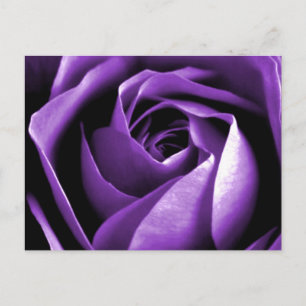 Roos Briefkaart