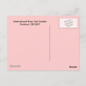 Roos Briefkaart (Achterkant)