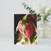 roos briefkaart (Staand voorkant)