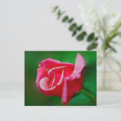 Roos Briefkaart (Staand voorkant)