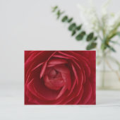 Roos Briefkaart (Staand voorkant)