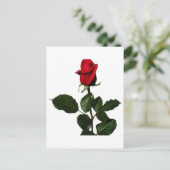 ROOS BRIEFKAART (Staand voorkant)