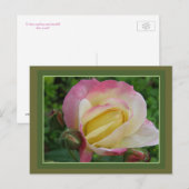 Roos Briefkaart (Voorkant / Achterkant)