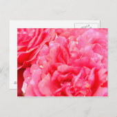 Roos Briefkaart (Voorkant / Achterkant)