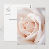Roos Briefkaart (Voorkant / Achterkant)