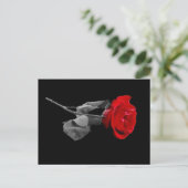 Roos Briefkaart (Staand voorkant)