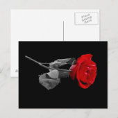 Roos Briefkaart (Voorkant / Achterkant)
