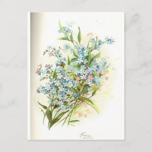 roos bril briefkaart (Voorkant)