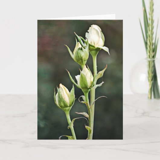Roos Bud Bunch Art Note Kaart (Voorkant)