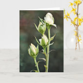 Roos Bud Bunch Art Note Kaart (Gele Bloem)