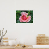 Roos Bud Poster (Keuken)