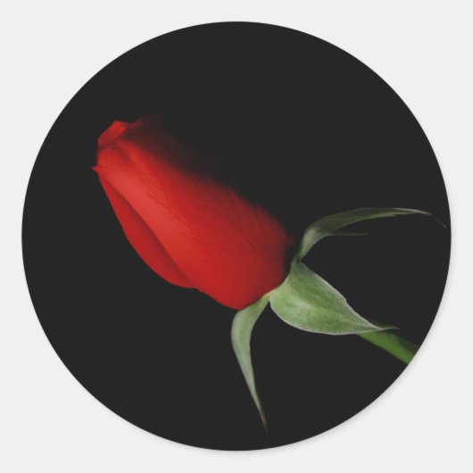 Roos Bud Stickers - Wedding Envelope Seal (Voorkant)