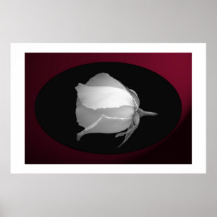 Roos Bud (zwart-wit) Poster