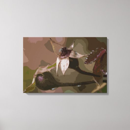 Roos Buds in het najaar Canvas Afdruk (Voorkant)