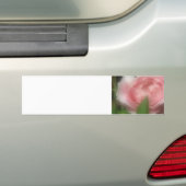 Roos Bumpersticker (Op auto)