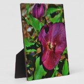 Roos Burgundy Pink Lenten Fotoplaat (Zijkant)