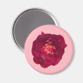 ROOS C MAGNEET (Voorkant / Achterkant)