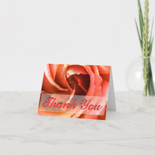 Roos Canterbury bedankt de MUSEUM Zazzle Gifts