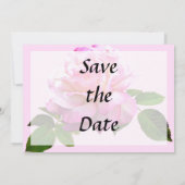 Roos Chicago Peace Save the Date (Achterkant)