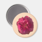 ROOS D MAGNEET (Voorkant / Achterkant)