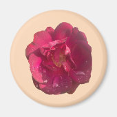 ROOS D MAGNEET (Voorkant)