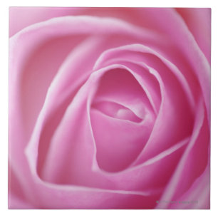 Roos, Duitsland Tegeltje